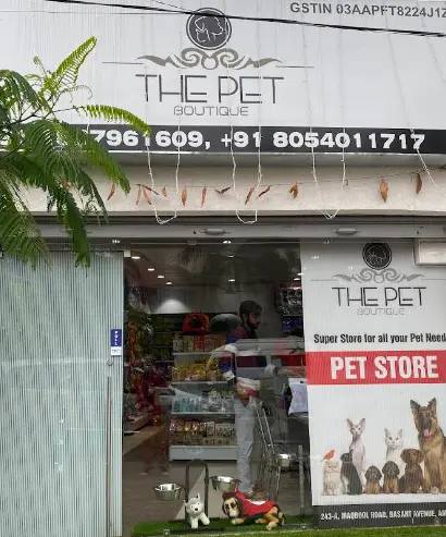 The Pet Boutique